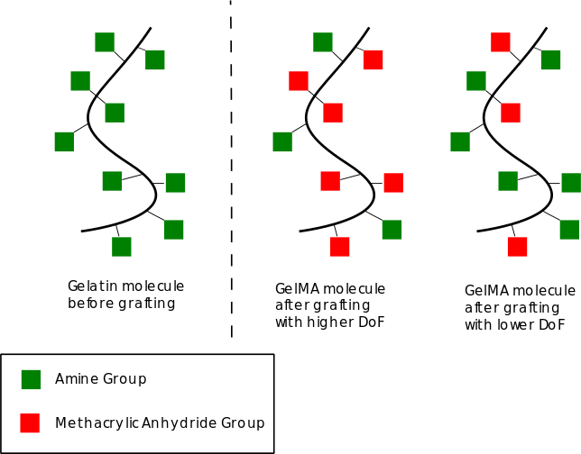 schematic of DoF