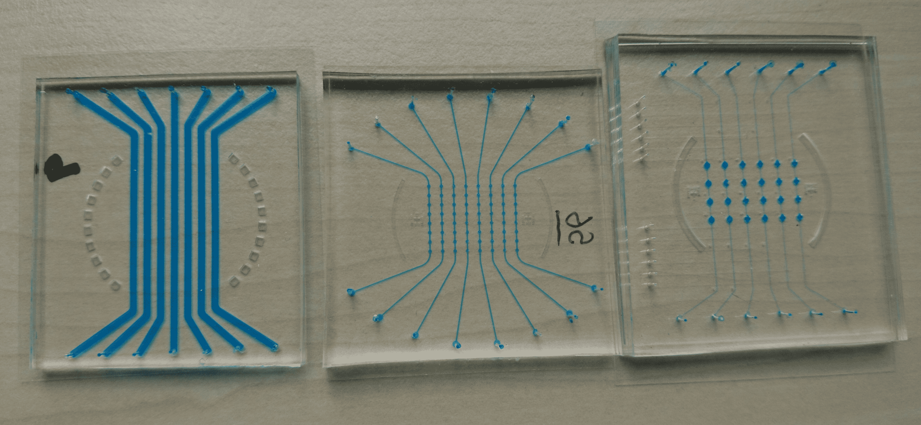 microfluidic chips