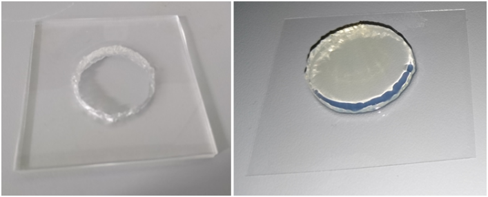hydrogel forming pad